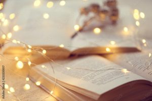 Cozy fiction books for winter