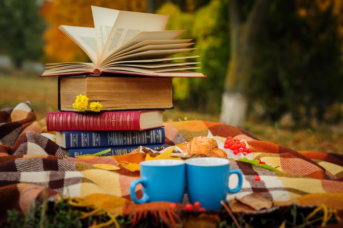 Cozy books for fall reading