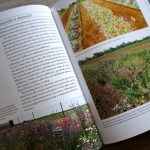 Cozy books for lovers of nature